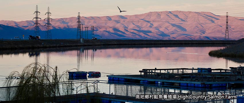 ⾼地鄉村鮭⿂養殖場